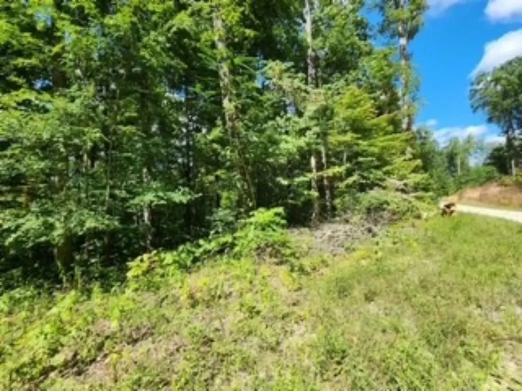 14.34AC Tomahawk Road Jamestown TN 38556