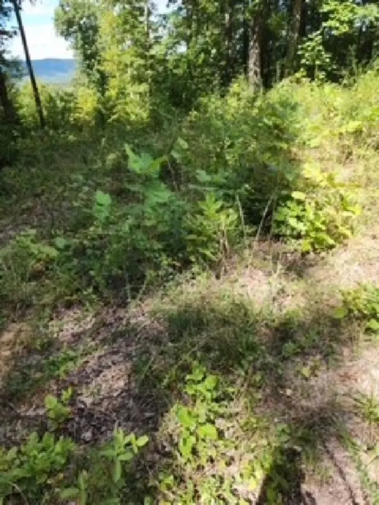 14.34AC Tomahawk Road Jamestown TN 38556