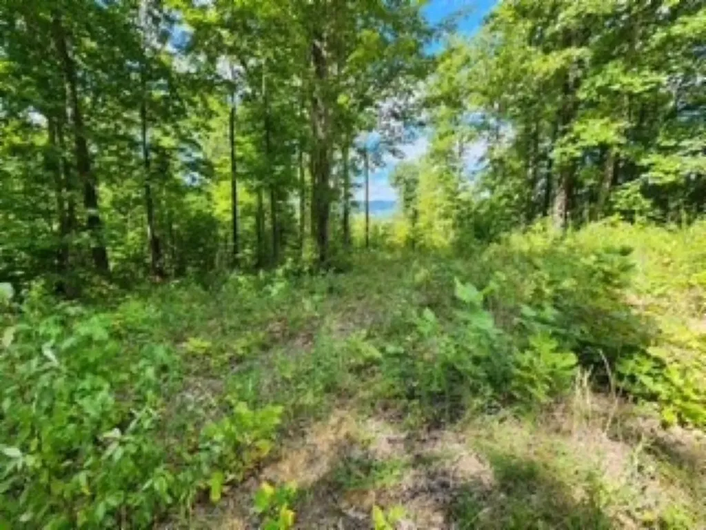 14.34AC Tomahawk Road Jamestown TN 38556