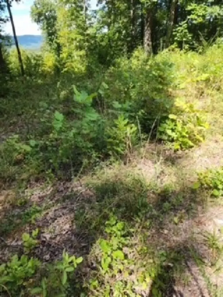 14.34AC Tomahawk Road Jamestown TN 38556