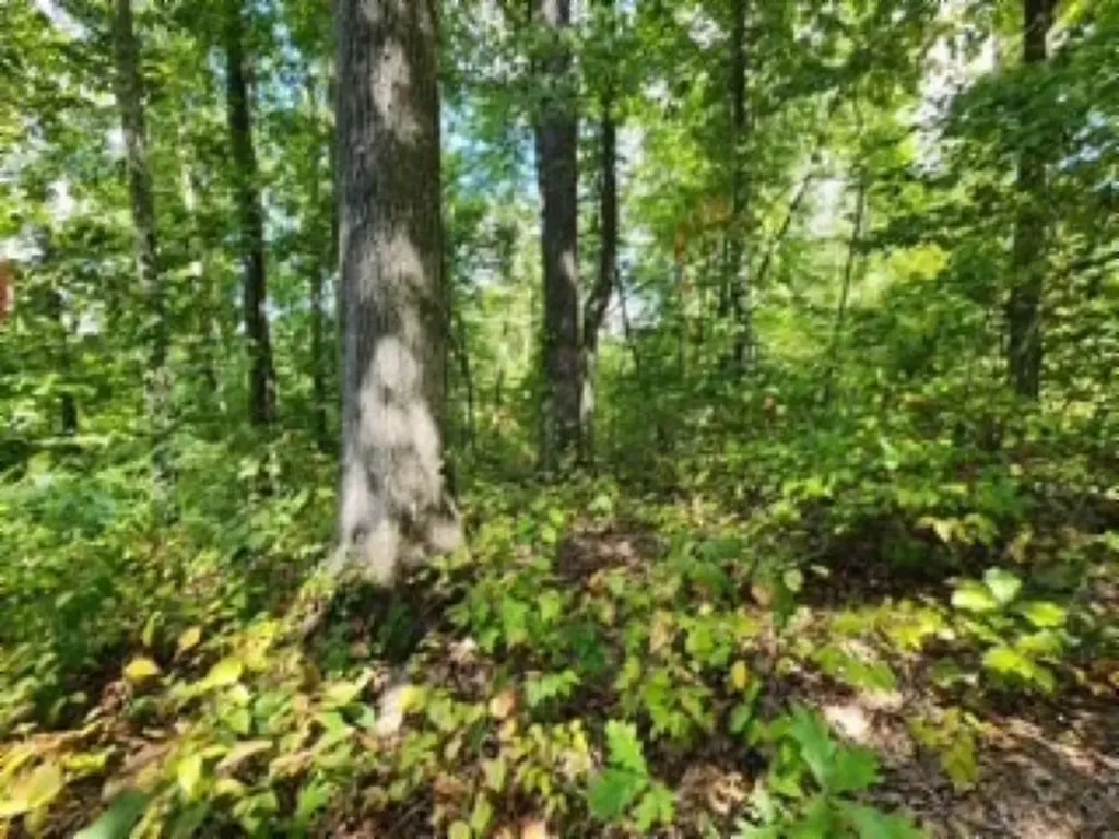 14.34AC Tomahawk Road Jamestown TN 38556