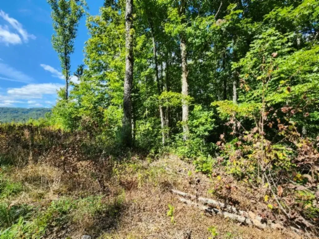14.34AC Tomahawk Road Jamestown TN 38556