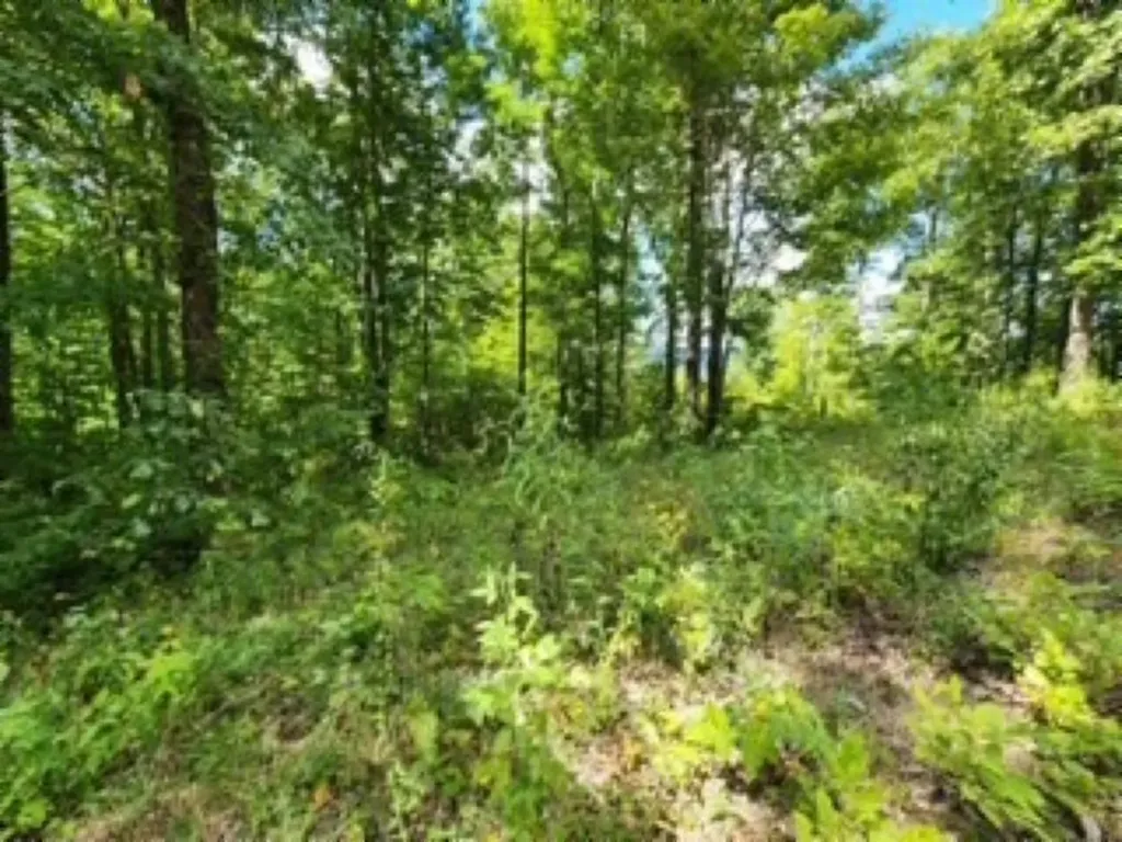 14.34AC Tomahawk Road Jamestown TN 38556