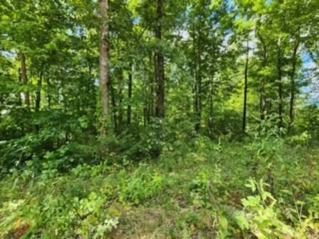 14.34AC Tomahawk Road Jamestown TN 38556