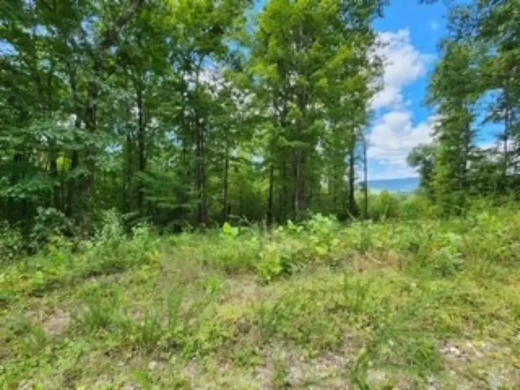 14.34AC Tomahawk Road Jamestown TN 38556