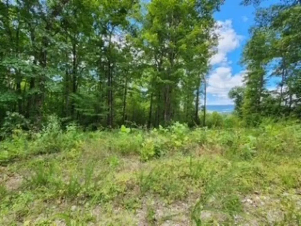 14.34AC Tomahawk Road Jamestown TN 38556