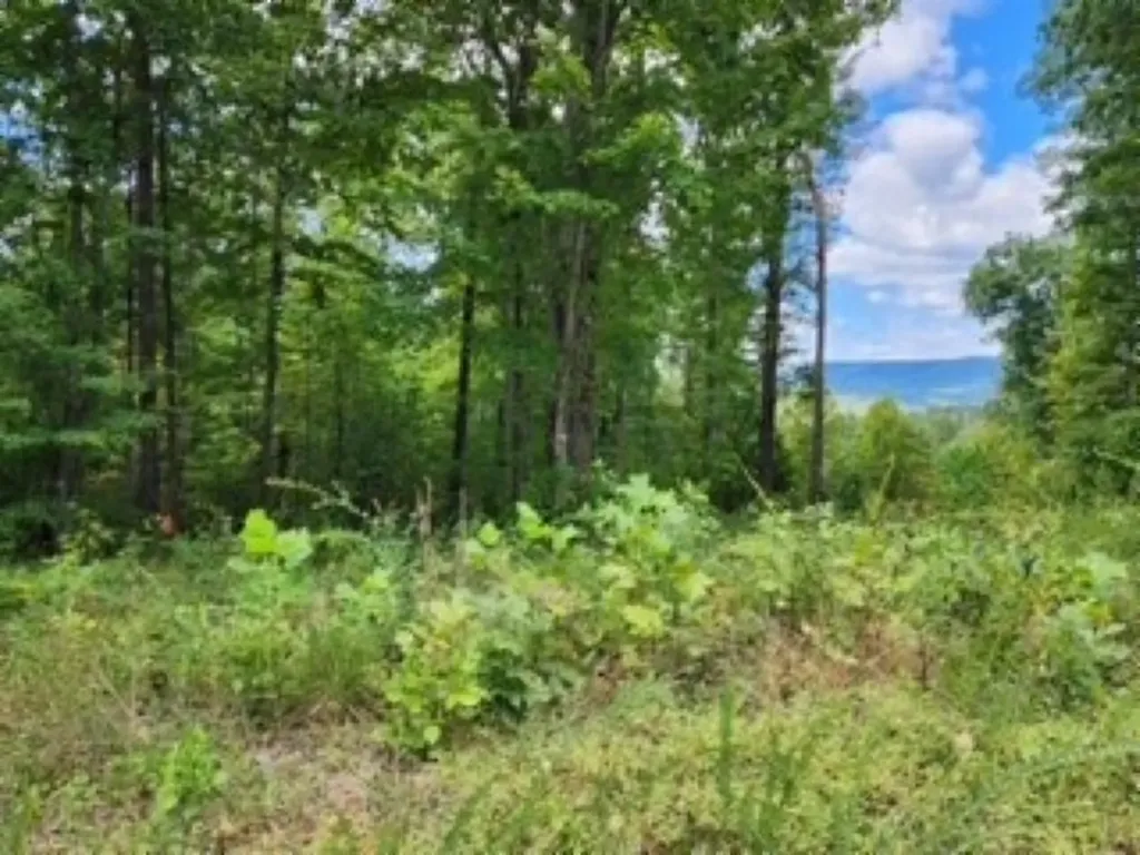 14.34AC Tomahawk Road Jamestown TN 38556