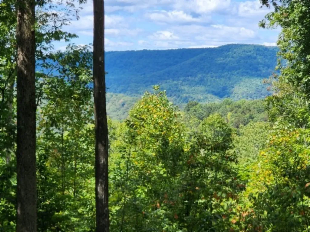 14.34AC Tomahawk Road Jamestown TN 38556