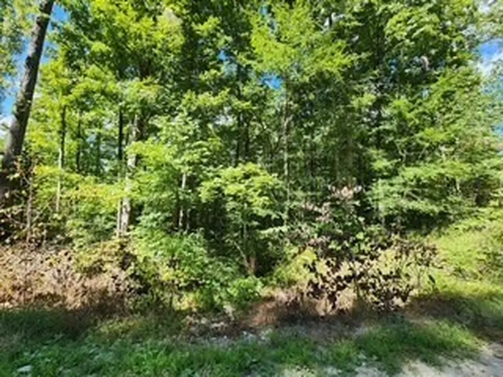 Lot 72 Tomahawk Road Jamestown TN 38556