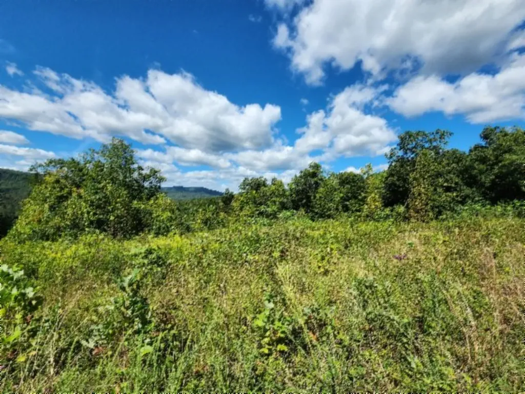 Lot 72 Tomahawk Road Jamestown TN 38556