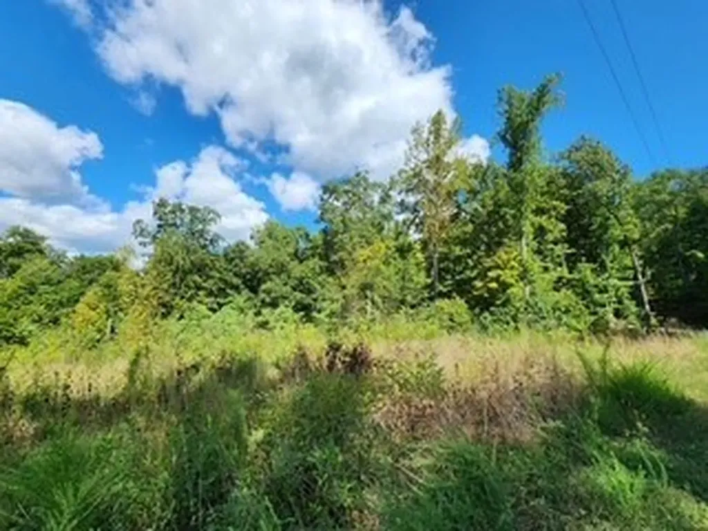 Lot 72 Tomahawk Road Jamestown TN 38556