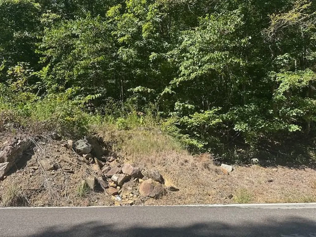 Lot 364a 6360 Wilder Highway Wilder TN 38589