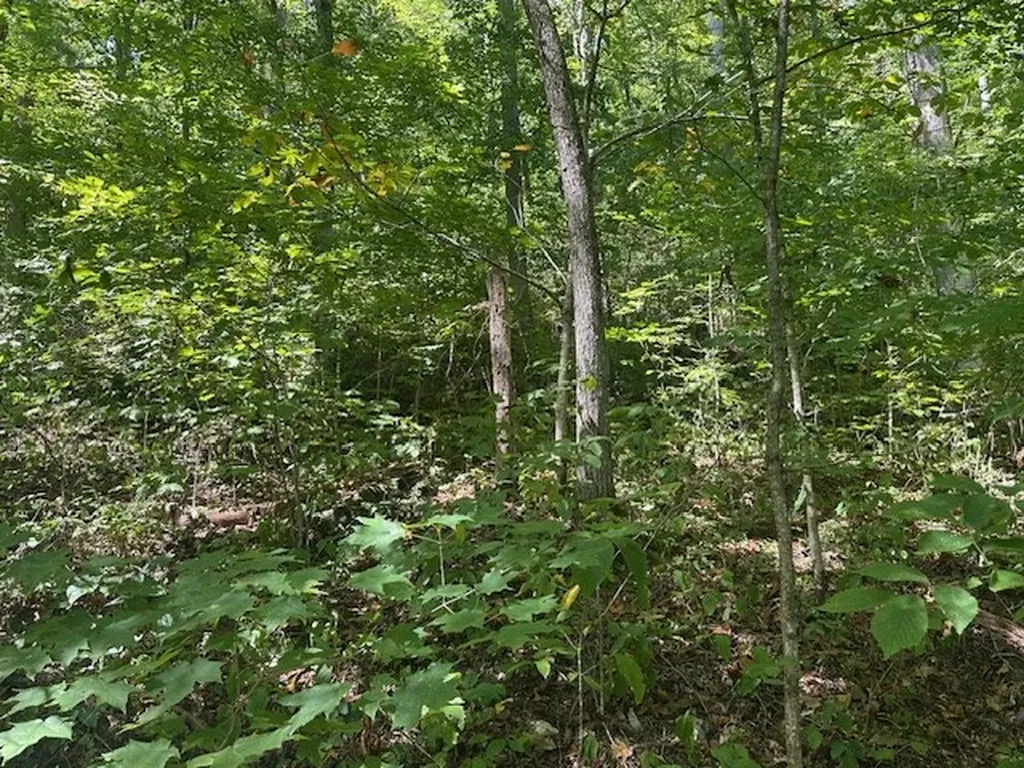Lot 364a 6360 Wilder Highway Wilder TN 38589