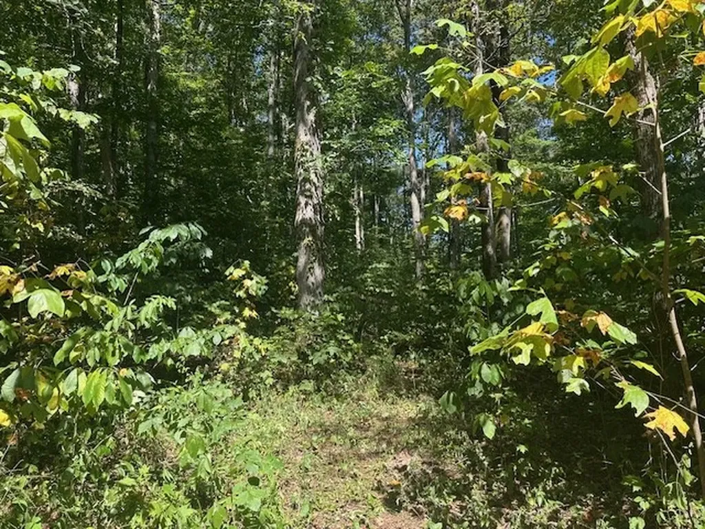 Lot 364a 6360 Wilder Highway Wilder TN 38589