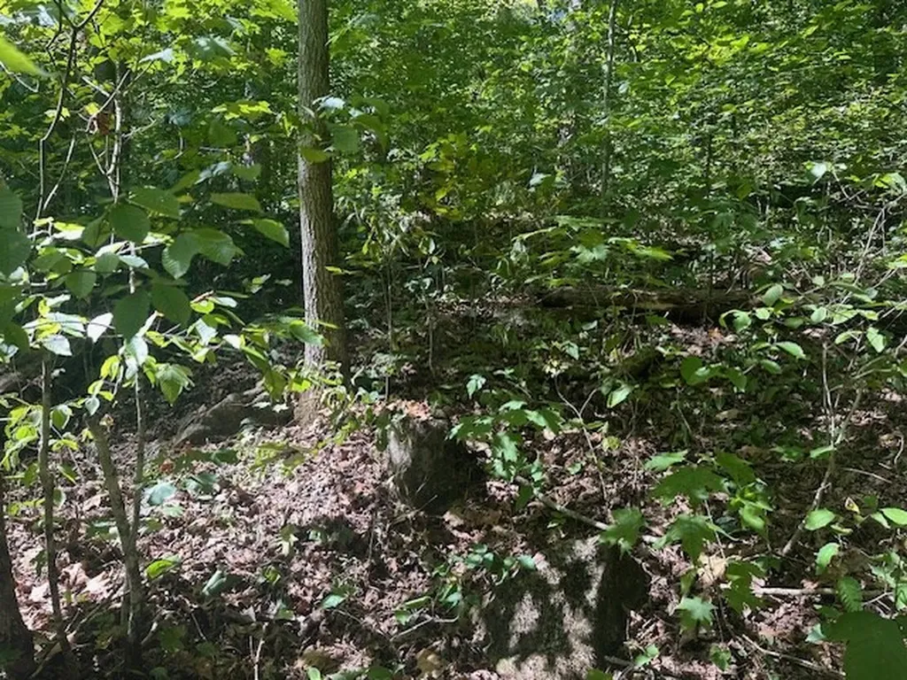 Lot 364a 6360 Wilder Highway Wilder TN 38589