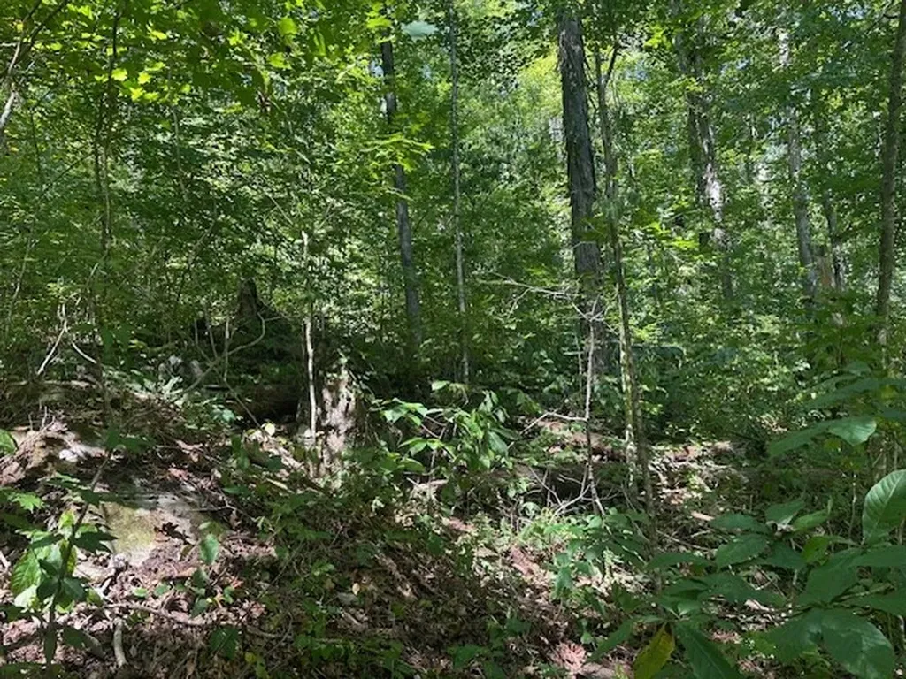Lot 364a 6360 Wilder Highway Wilder TN 38589