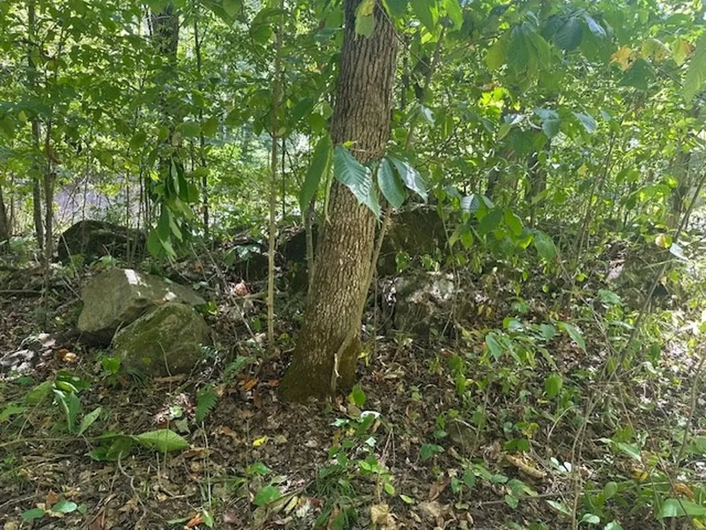 Lot 364a 6360 Wilder Highway Wilder TN 38589