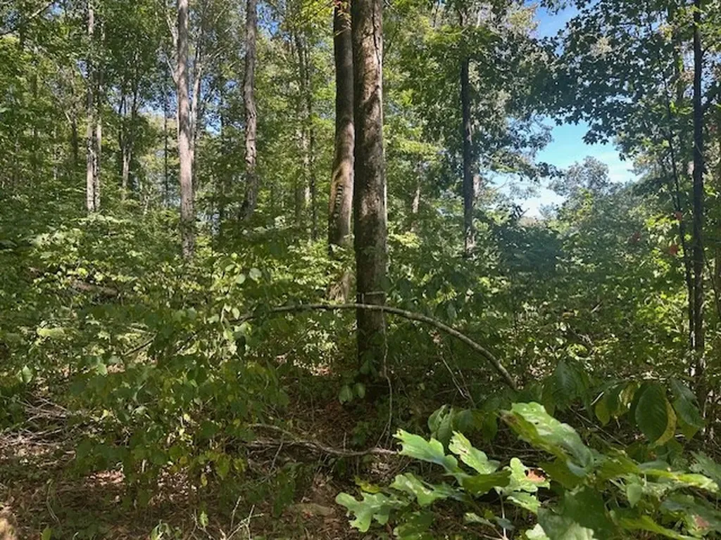 Lot 364a 6360 Wilder Highway Wilder TN 38589