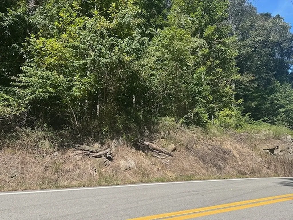 Lot 364a 6360 Wilder Highway Wilder TN 38589