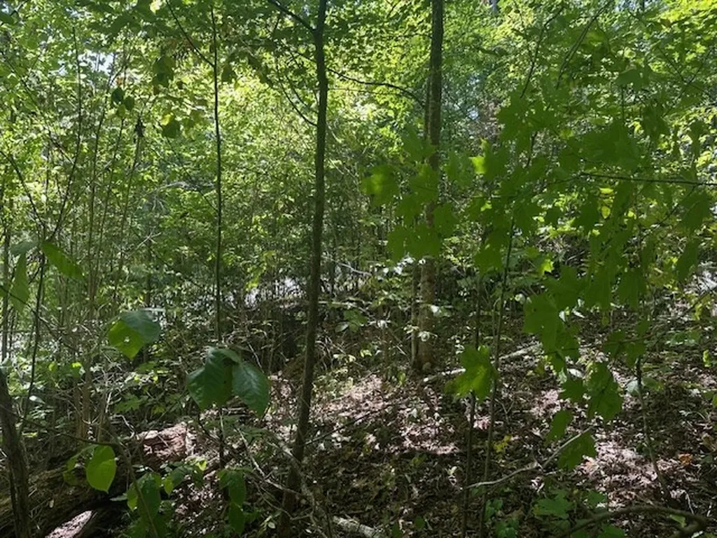 Lot 364a 6360 Wilder Highway Wilder TN 38589