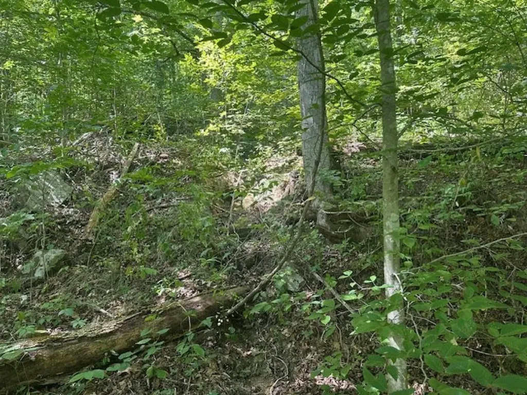 Lot 364a 6360 Wilder Highway Wilder TN 38589