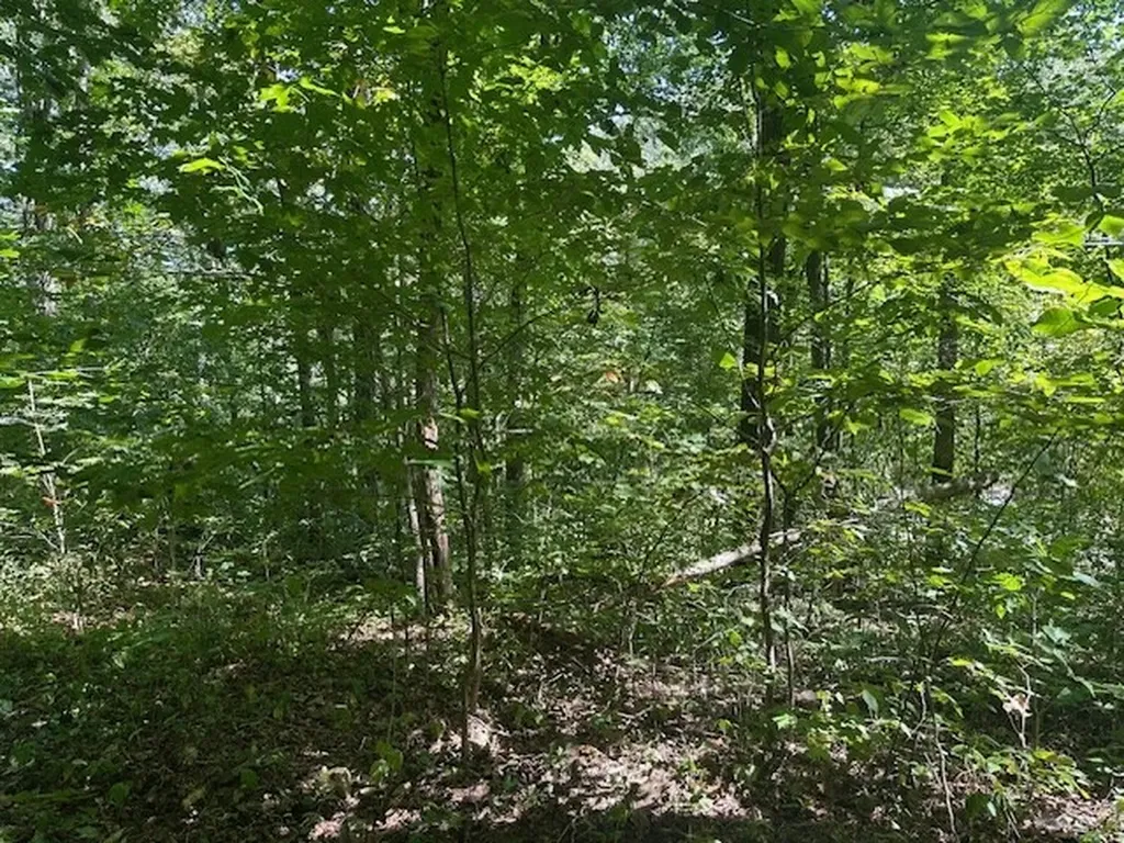 Lot 364a 6360 Wilder Highway Wilder TN 38589