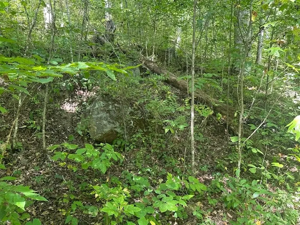 Lot 364a 6360 Wilder Highway Wilder TN 38589