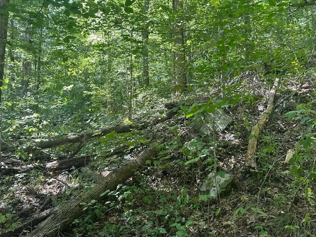 Lot 364a 6360 Wilder Highway Wilder TN 38589