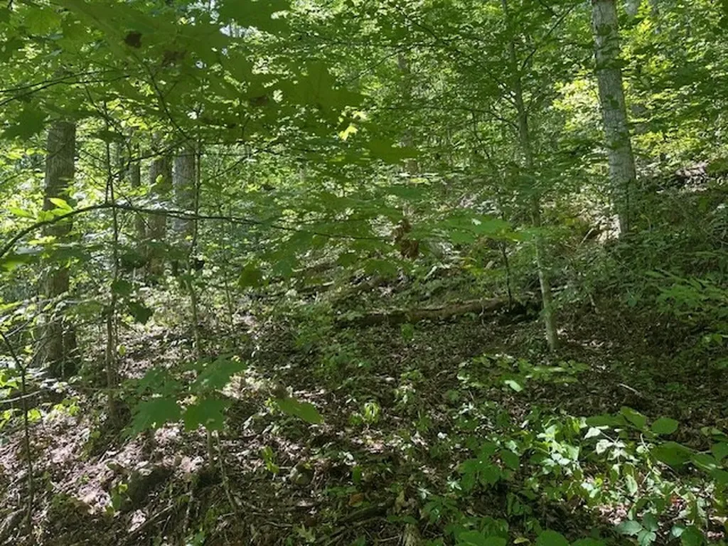 Lot 364a 6360 Wilder Highway Wilder TN 38589