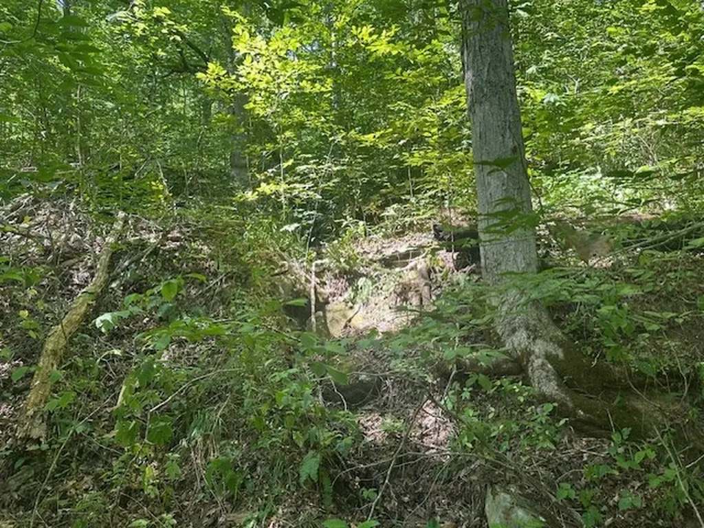 Lot 364a 6360 Wilder Highway Wilder TN 38589