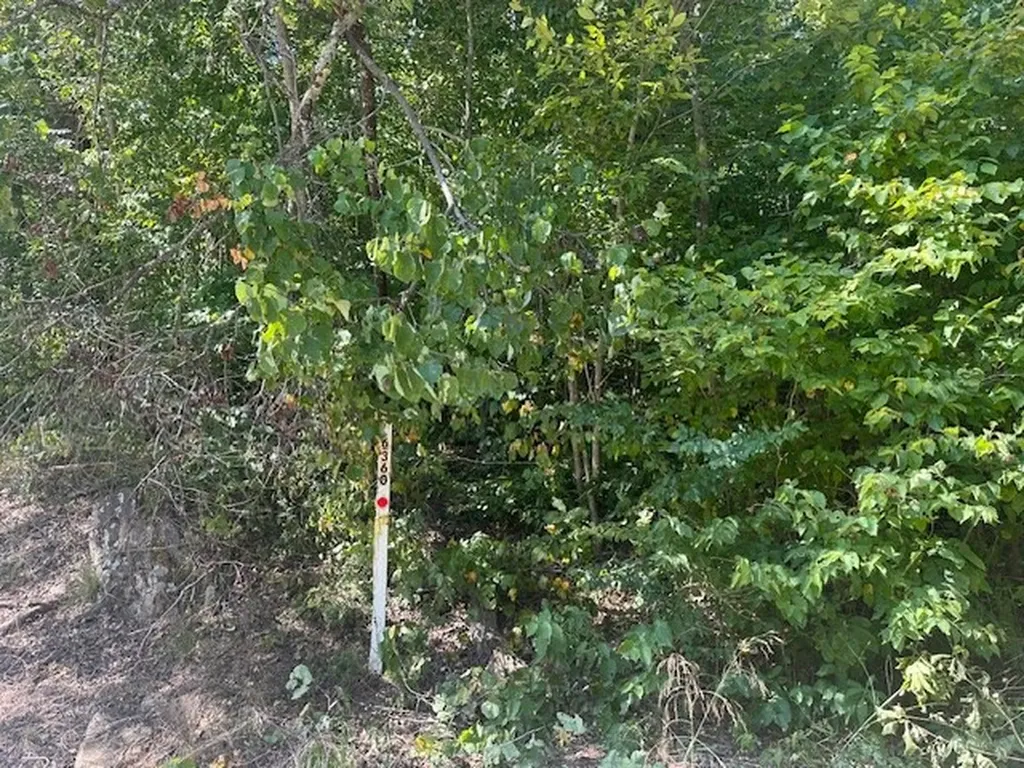 Lot 364a 6360 Wilder Highway Wilder TN 38589