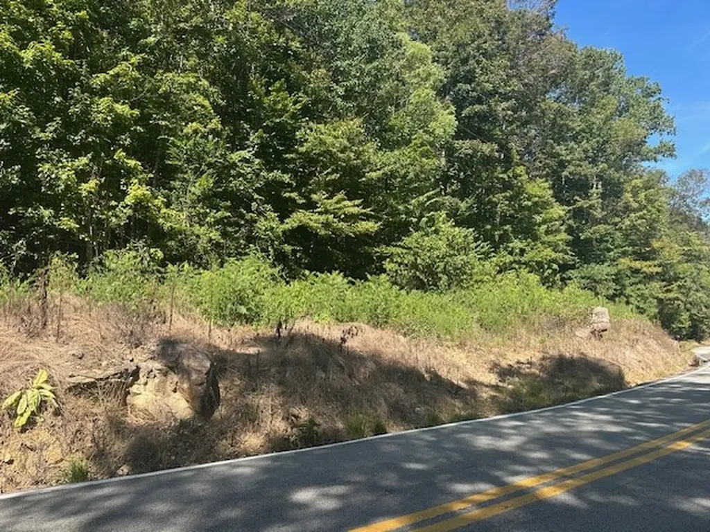 Lot 364a 6360 Wilder Highway Wilder TN 38589