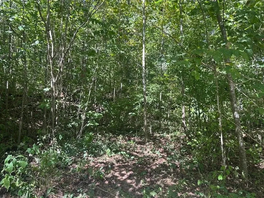 Lot 364a 6360 Wilder Highway Wilder TN 38589