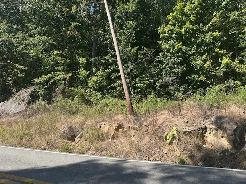 Lot 364a 6360 Wilder Highway Wilder TN 38589