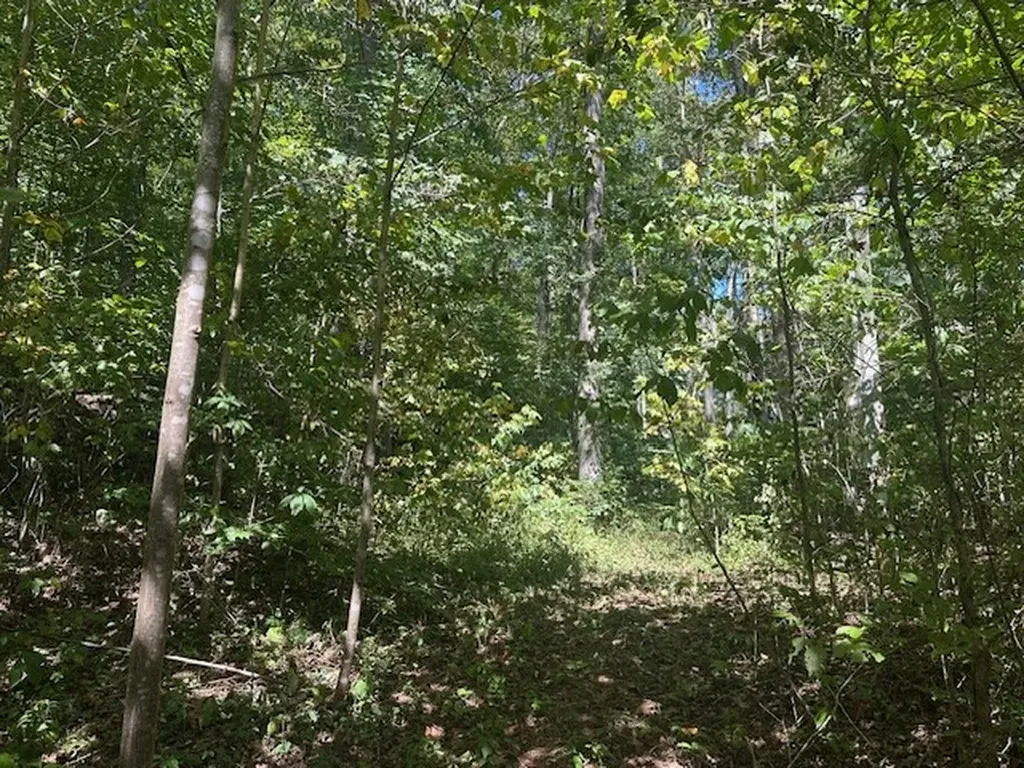 Lot 364a 6360 Wilder Highway Wilder TN 38589