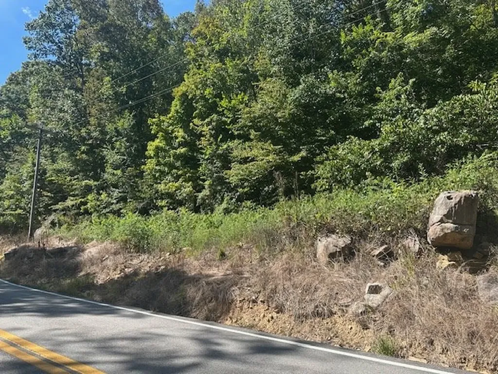 Lot 364a 6360 Wilder Highway Wilder TN 38589