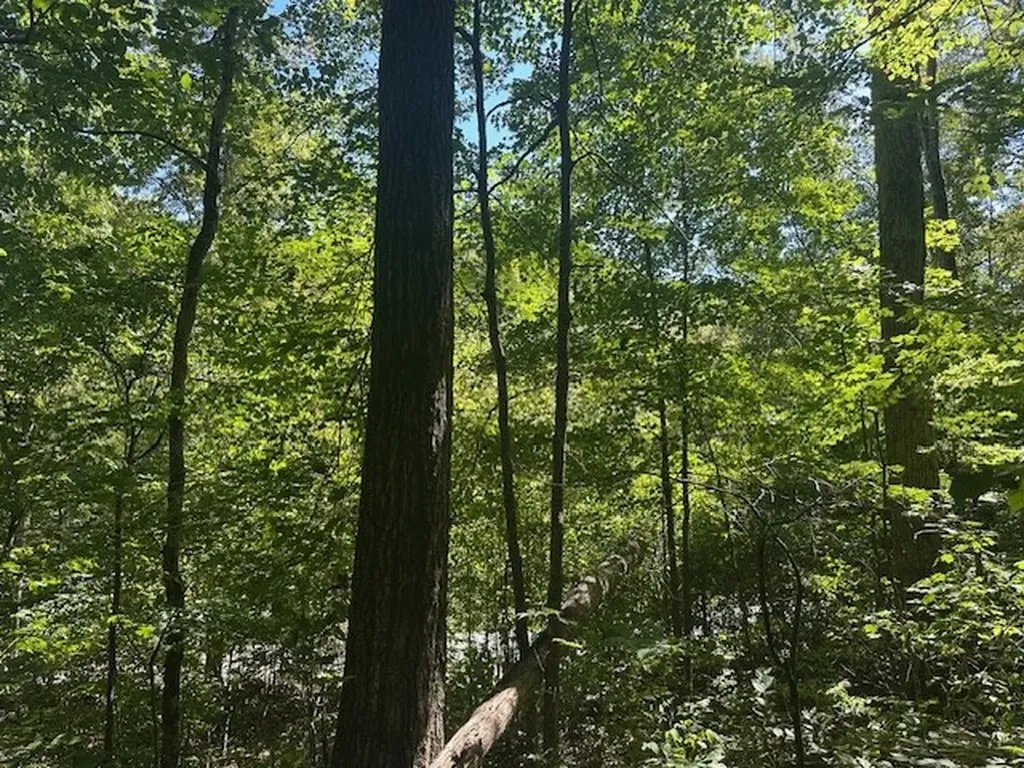 Lot 364a 6360 Wilder Highway Wilder TN 38589