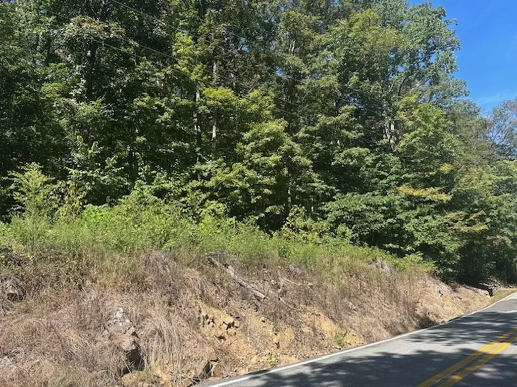 Lot 364a 6360 Wilder Highway Wilder TN 38589
