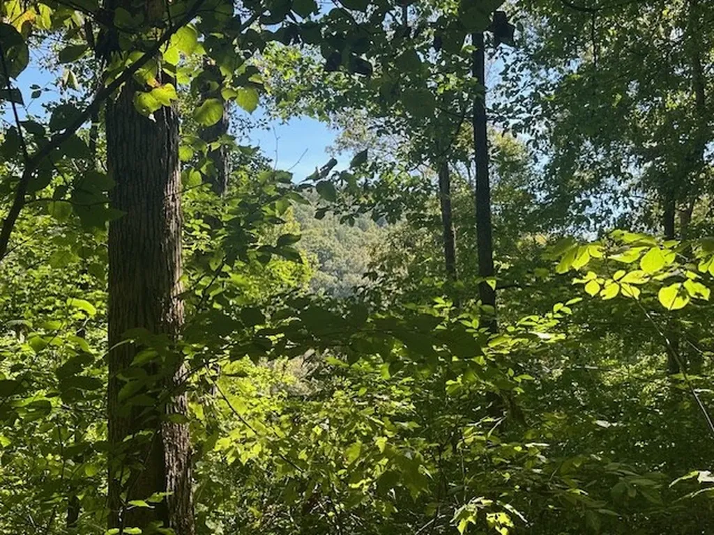 Lot 364a 6360 Wilder Highway Wilder TN 38589