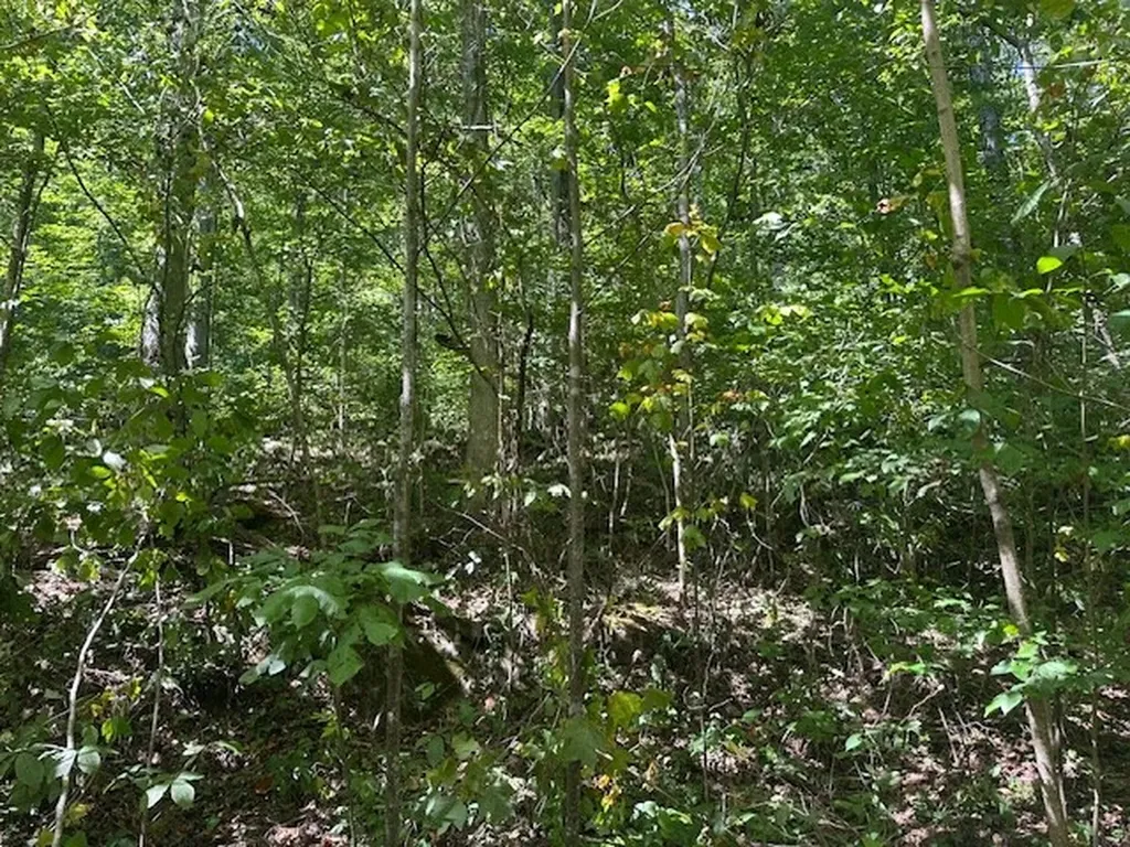 Lot 364a 6360 Wilder Highway Wilder TN 38589