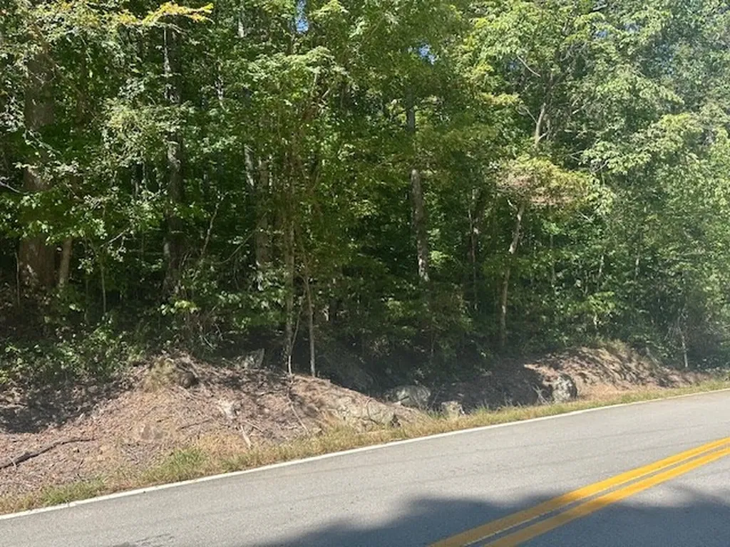 Lot 364a 6360 Wilder Highway Wilder TN 38589