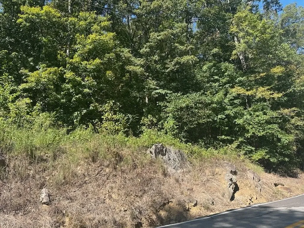 Lot 364a 6360 Wilder Highway Wilder TN 38589