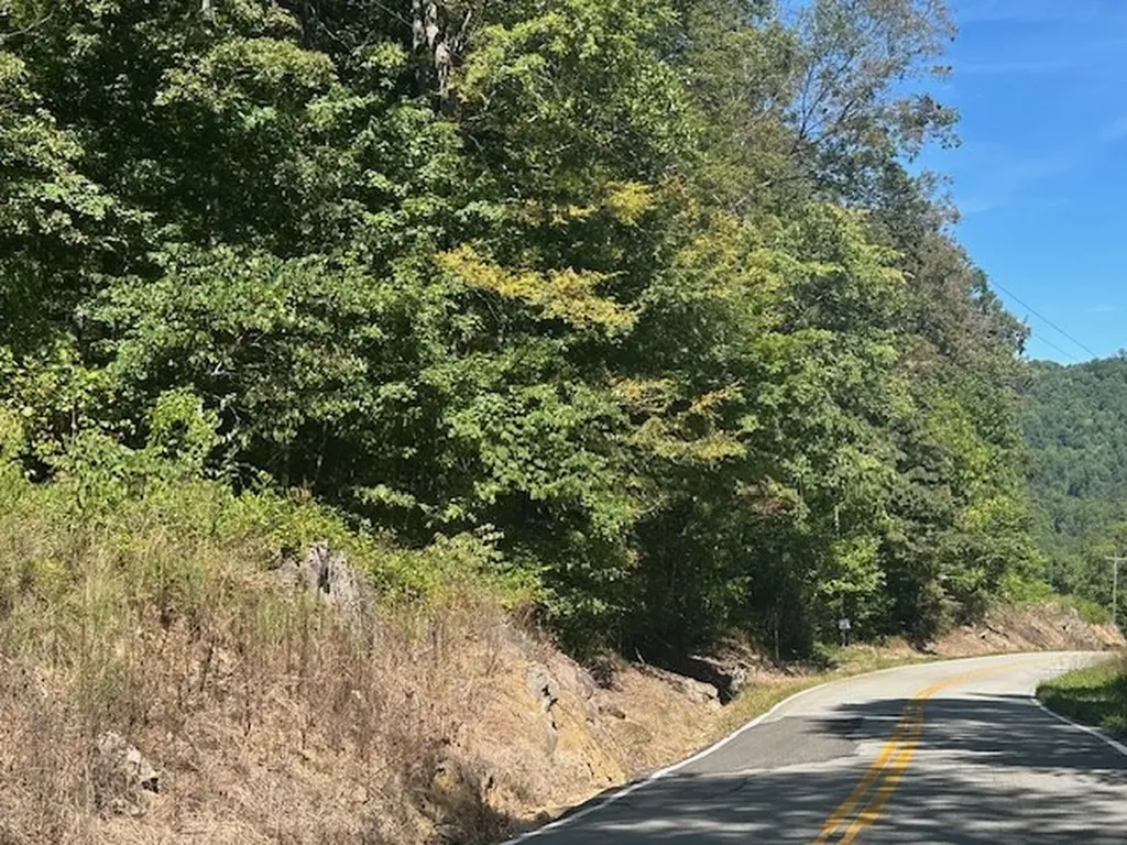 Lot 364a 6360 Wilder Highway Wilder TN 38589