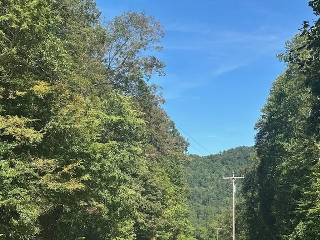 Lot 364a 6360 Wilder Highway Wilder TN 38589