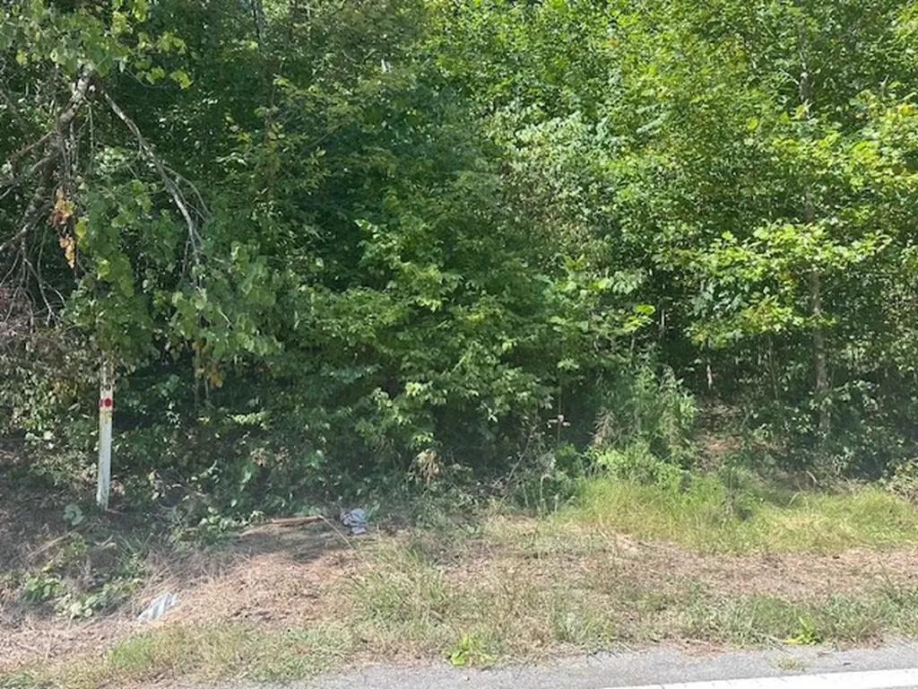 Lot 364a 6360 Wilder Highway Wilder TN 38589