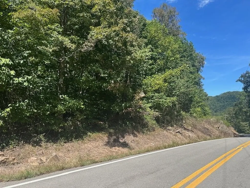 Lot 364a 6360 Wilder Highway Wilder TN 38589