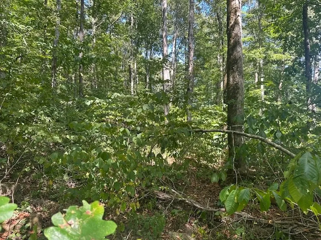 Lot 364a 6360 Wilder Highway Wilder TN 38589