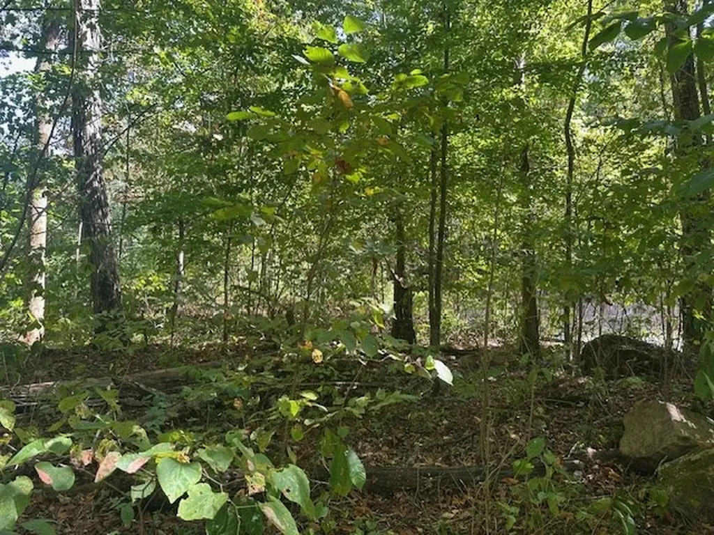 Lot 364a 6360 Wilder Highway Wilder TN 38589