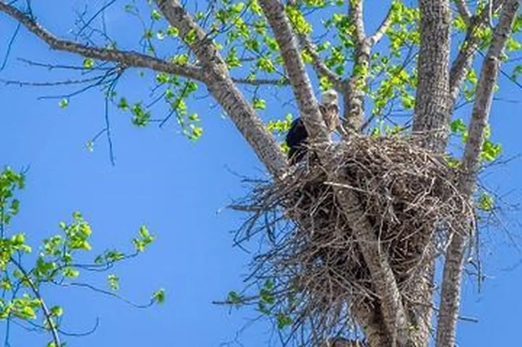 00 Taylor Road Byrdstown TN 38549