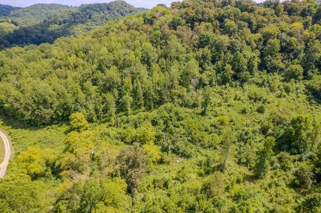 53.19AC Watts Hollow Road Buffalo Valley TN 38548